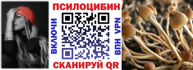 Галлюциногенные грибы GOLDEN TEACHER  Норильск 
